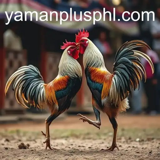 Cockfighting: An In-depth Look at the Controversial Tradition